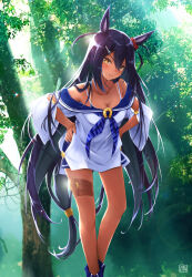 Rule 34 | 1girl, amane sou, animal ears, animal print, artist logo, bikini, black hair, blue bikini, blue neckerchief, blue sailor collar, blush, breasts, cleavage, commentary request, dark-skinned female, dark skin, ear ornament, feet out of frame, fold-over boots, forest, hands on own hips, highres, hishi amazon (umamusume), horse ears, horse girl, horse tail, large breasts, lens flare, long hair, looking at viewer, nature, neckerchief, off-shoulder shirt, off shoulder, outdoors, parted lips, sailor collar, shirt, skirt, solo, sunlight, swimsuit, tail, thigh strap, tiger print, umamusume, very long hair, white shirt, yellow eyes