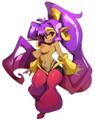 Rule 34 | 1girl, absurdres, breasts, commentary, dark-skinned female, dark skin, english commentary, full body, gradient hair, highres, large breasts, long hair, looking at viewer, multicolored hair, navel, nipples, open mouth, pants, pointy ears, ponytail, purple hair, red footwear, red hair, red pants, shantae, shantae (series), shoes, slugbox, smile, solo, sweat, tongue, tongue out, topless, very long hair