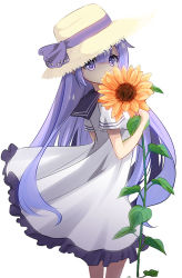 Rule 34 | 1girl, azur lane, black sailor collar, brown hat, covered mouth, dress, flower, flower over mouth, frilled dress, frills, hair between eyes, hat, hat ribbon, holding, holding flower, long hair, looking at viewer, looking to the side, orange flower, purple eyes, purple hair, purple ribbon, ribbon, sailor collar, sailor dress, short sleeves, sidelocks, simple background, solo, standing, straw hat, sukireto, sunflower, unicorn (azur lane), very long hair, white background, white dress