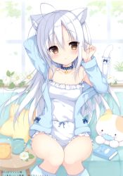Rule 34 | 1girl, absurdres, ahoge, animal ear fluff, animal ears, arm up, bare shoulders, bell, blue bow, blue collar, blue jacket, blush, book, bow, breasts, brown eyes, camisole, cat ears, cat girl, cat tail, cleavage, collar, collarbone, couch, cup, drawstring, fingernails, flower, hair between eyes, hand up, highres, izuminanase, jacket, kneehighs, knees together feet apart, long sleeves, looking at viewer, medium breasts, mug, neck bell, on couch, open clothes, open jacket, original, pillow, scan, short shorts, shorts, silver hair, sitting, socks, solo, star-shaped pillow, star (symbol), striped clothes, striped socks, stuffed animal, stuffed cat, stuffed toy, table, tail, tail raised, white camisole, white flower, white shorts