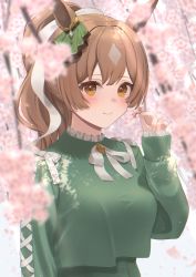 Rule 34 | 1girl, absurdres, animal ears, arm at side, blurry, blush, bow, branch, breasts, brooch, brown eyes, brown hair, cross-laced clothes, cross-laced sleeves, day, depth of field, diamond (shape), ear ribbon, flower, frilled shirt collar, frills, gem, green shirt, hanazawa ma, hand up, highres, holding, holding flower, horse ears, horse girl, jewelry, large breasts, long hair, long sleeves, looking at viewer, nature, neck ribbon, pink flower, plant, ponytail, ribbon, satono diamond (umamusume), shirt, shirt overhang, sidelocks, sleeves past wrists, smile, solo, umamusume, white ribbon