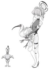 Rule 34 | 1girl, animal, bare shoulders, bird, blue archive, boots, braid, breasts, bun cover, chicken, choker, commentary, covered collarbone, crested ibis, elbow gloves, fingerless gloves, french braid, full body, gloves, gomibako (gomibako price), greyscale, hair bun, hair ribbon, halo, heel up, high heel boots, high heels, highres, holding, holding animal, holding bird, knee boots, leotard, looking at animal, maid headdress, monochrome, name connection, peroro (blue archive), pun, ribbon, short hair, simple background, single hair bun, small breasts, solo, standing, thigh strap, toki (blue archive), v arms