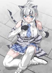 Rule 34 | 1girl, animal ears, back bow, bare shoulders, black gloves, blue eyes, blue necktie, blue skirt, boots, bow, cave lion (kemono friends), center frills, collared shirt, detached sleeves, extra ears, fang, frilled skirt, frills, from above, fur trim, gloves, grey hair, highres, kemono friends, lion ears, lion girl, lion tail, looking at viewer, multicolored hair, necktie, on ground, plaid, plaid necktie, plaid skirt, pleated skirt, shirt, short hair, sidelocks, skirt, sleeveless, smile, solo, tail, tanabe (fueisei), thighhighs, white footwear, white fur, white hair, white shirt, white sleeves, white thighhighs, zettai ryouiki