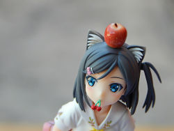 Rule 34 | 10s, 1girl, animal ears, cat ears, cherry, figure, food, fruit, hentai ouji to warawanai neko., highres, no humans, photo (medium), skirt, tsutsukakushi tsukiko