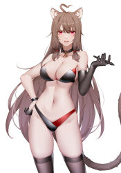 Rule 34 | 1girl, ahoge, animal ears, asymmetrical gloves, bare shoulders, bikini, black collar, black gloves, black thighhighs, blush, breasts, brown hair, cleavage, collar, collarbone, commentary, feet out of frame, gloves, hair ornament, hairclip, hand on own hip, highres, holding, holding pencil, long hair, looking at viewer, medium breasts, navel, open mouth, original, parted lips, pencil, purple eyes, raccoon ears, raccoon tail, rubber gloves, solo, standing, stomach, swimsuit, tail, thighhighs, thighs, triangle, white background, wsfw