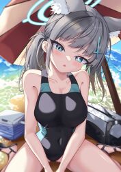 Rule 34 | 1girl, absurdres, animal ear fluff, animal ears, beach, black one-piece swimsuit, blue archive, blue eyes, blue sky, breasts, chinese commentary, cloud, commentary request, competition swimsuit, covered navel, cross hair ornament, day, extra ears, grey hair, hair ornament, halo, head tilt, highres, horizon, looking at viewer, low ponytail, medium breasts, medium hair, mismatched pupils, multicolored clothes, multicolored swimsuit, ocean, official alternate costume, one-piece swimsuit, outdoors, sandals, shiroko (blue archive), shiroko (swimsuit) (blue archive), sitting, sky, solo, swimsuit, wariza, water, white background, wolf ears, yosune