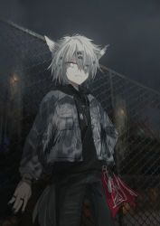 Rule 34 | 1girl, absurdres, ambience synesthesia, animal ear fluff, animal ears, arknights, black nails, black pants, black shirt, chain-link fence, chihuri, closed mouth, commentary request, eyes visible through hair, fence, grey eyes, grey hair, grey jacket, hair ornament, hair over one eye, hairclip, highres, jacket, jewelry, lappland (arknights), long sleeves, looking at viewer, nail polish, necklace, night, night sky, open clothes, open jacket, outdoors, pants, ring, shirt, sky, solo, tail