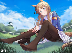 Rule 34 | 1girl, absurdres, animal ears, armband, artist logo, asymmetrical legwear, blue jacket, blush, boots, unworn boots, breath, brown pantyhose, cloud, day, grass, grass wonder (umamusume), green eyes, highres, horse ears, horse girl, horse tail, jacket, jtleeklm, long hair, long sleeves, looking at viewer, mismatched legwear, outdoors, pantyhose, parted lips, sailor collar, sitting, skirt, solo, sweat, tail, thighband pantyhose, tree, umamusume, white skirt