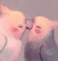 Rule 34 | animal focus, bad id, bad pixiv id, beak, bird, blush, cockatiel, commentary request, closed eyes, from side, manino (mofuritaionaka), no humans, original