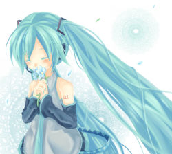 Rule 34 | aqua hair, bad id, bad pixiv id, blush, detached sleeves, closed eyes, flower, happy, hatsune miku, long hair, mugi, mugi (twinbox), necktie, own hands clasped, own hands together, solo, twintails, very long hair, vocaloid