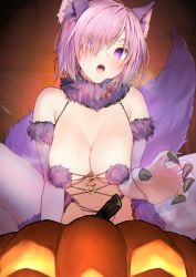 Rule 34 | 1girl, absurdres, animal ears, bare shoulders, blush, breasts, cleavage, cosplay, elbow gloves, fate/grand order, fate (series), fur trim, gloves, hair over one eye, highres, jack-o&#039;-lantern, large breasts, looking at viewer, mash kyrielight, mash kyrielight (dangerous beast), navel, open mouth, pink hair, purple eyes, purple gloves, purple hair, purple tail, revealing clothes, short hair, solo, tail, teeth, thighhighs, tomozero, upper teeth only, wolf ears, wolf tail