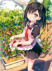 Rule 34 | 1girl, :d, absurdres, apron, artist name, black hair, blush, bush, cherry tomato, collarbone, day, eyes visible through hair, food, fruit, garden, hair ornament, hair over one eye, hair scrunchie, highres, image sample, kantoku, looking at viewer, necktie, one side up, open mouth, original, outdoors, plaid, plant, potted plant, purple eyes, red necktie, rock, scrunchie, shizuku (kantoku), short hair, skirt basket, sleeves rolled up, smile, solo, standing, strawberry, tomato, tsurime, vegetable