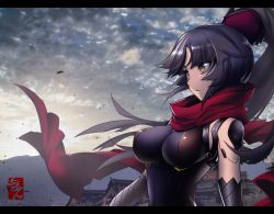 Rule 34 | 1girl, arikanrobo, black border, black hair, border, breasts, closed mouth, cloud, cloudy sky, fate/grand order, fate (series), from side, joints, katou danzou (fate), long hair, looking away, medium breasts, ponytail, profile, red scarf, robot joints, scarf, serious, signature, sky, solo, upper body, yellow eyes