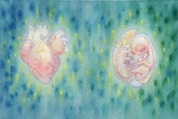 Rule 34 | abstract background, beak, bird, blue background, closed eyes, embryo, heart (organ), highres, no humans, original, shanyeyuri