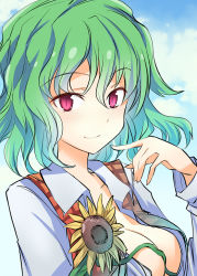Rule 34 | 1girl, blush, breasts, center opening, cleavage, commentary request, flower, green hair, kazami yuuka, long sleeves, looking at viewer, medium breasts, no bra, open clothes, open vest, plaid, plaid vest, red eyes, shirt, short hair, smile, solo, suichuu hanabi, sunflower, touhou, upper body, vest, white shirt