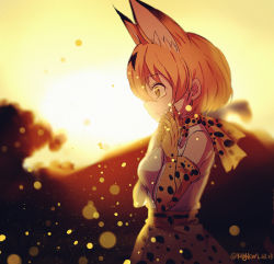 Rule 34 | 10s, 1girl, animal ears, bad end, cat ears, cat tail, crying, crying with eyes open, from side, hand on own face, kemono friends, open mouth, outdoors, sad, serval (kemono friends), serval print, serval tail, solo, spoilers, standing, sunset, tail, tears, wide-eyed, yaoshi jun, yellow eyes