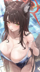 alternate_costume animal_ears black_hair blue_archive breasts cleavage commentary_request covered_erect_nipples eyeshadow fox_ears fox_girl fox_tail from_above halo huge_breasts large_breasts long_hair makeup one-piece_swimsuit red_eyeshadow red_halo renshuunomi school_swimsuit strap_slip swimsuit tail wakamo_(blue_archive) wet yellow_eyes