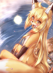 Rule 34 | 1girl, :3, ahoge, animal ear fluff, animal ears, animal nose, back, blonde hair, blush, body fur, breasts, cherry blossoms, commentary request, fang, fox, fox ears, fox girl, fox tail, furry, furry female, hair between eyes, highres, horokusa (korai), korai (horokusa), long hair, looking at viewer, nude, onsen, open mouth, original, sitting, small breasts, solo, tail, two-tone fur, white fur, yellow eyes, yellow fur