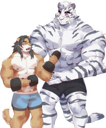 Rule 34 | 2boys, abs, absurdres, animal ears, arknights, bara, black hair, black shorts, blue eyes, blue shorts, bulge, commission, dolphin shorts, dual wielding, dumbbell, exercising, eye contact, facial hair, feet out of frame, furry, furry male, goatee, goatee stubble, height difference, highres, holding, kimagureuso, large hands, large pectorals, leggings, lion boy, long hair, looking at another, male focus, mountain (arknights), multiple boys, muscular, muscular male, nipples, original, pectorals, scar, scar across eye, scar on arm, short hair, shorts, standing, stomach, stubble, tail, talking, thick eyebrows, tiger boy, tiger ears, tiger tail, topless male, weightlifting, white hair