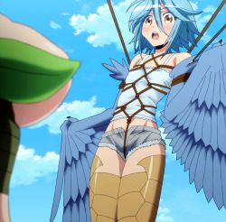 Rule 34 | 10s, 2girls, bdsm, blue hair, bondage, bound, breasts, crotch rope, harpy, highres, monster girl, monster musume no iru nichijou, multiple girls, papi (monster musume), shibari, short hair, shorts, sky, small breasts, solo focus, stitched, third-party edit, wings, yellow eyes