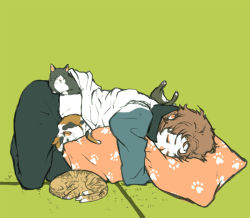 Rule 34 | 1boy, bad id, bad pixiv id, brown hair, cat, character request, closed eyes, male focus, shiro (reptil), solo, tennis no ouji-sama