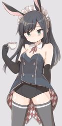Rule 34 | 10s, 1girl, adapted costume, alternate costume, animal ears, argyle, arm behind back, asashio (kancolle), bad id, bad twitter id, bare shoulders, black gloves, black hair, black thighhighs, blue eyes, breasts, coattails, commentary request, cup, elbow gloves, eyebrows, fake animal ears, gloves, grey background, highres, holding, holding cup, kantai collection, leotard, long hair, looking at viewer, maid headdress, murakami meishi, neck ribbon, playboy bunny, rabbit ears, red ribbon, ribbon, simple background, small breasts, solo, teacup, thighhighs