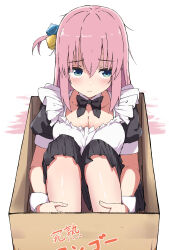 Rule 34 | 1girl, absurdres, apron, black bow, blue eyes, bocchi the rock!, bow, bowtie, box, breasts, cardboard box, cleavage, closed mouth, commentary request, cube hair ornament, frills, frown, gotoh hitori, hair between eyes, hair ornament, highres, in box, in container, long hair, looking away, maid, medium breasts, one side up, pink hair, puffy short sleeves, puffy sleeves, short sleeves, simple background, sitting, solo, spice mega, white background