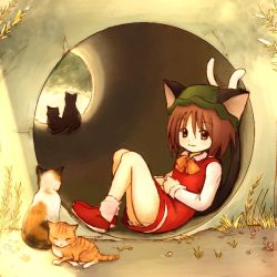 Rule 34 | 1girl, against wall, animal ears, bad id, bad pixiv id, brown eyes, brown hair, calico, cat, cat ears, cat tail, chen, eijima moko, female focus, hat, multiple tails, short hair, sitting, solo, tabby cat, tail, touhou, tunnel