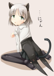 Rule 34 | 00s, 1girl, animal ears, bad id, bad pixiv id, black pantyhose, cat ears, highres, pantyhose, rinyan suzu, sanya v. litvyak, sitting, solo, strike witches, world witches series