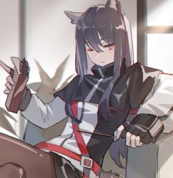 Rule 34 | 1girl, animal ears, arknights, armchair, black gloves, black hair, black jacket, black pantyhose, black shorts, box, chair, fingerless gloves, food, gloves, hair between eyes, highres, holding, holding box, holding food, jacket, pantyhose under shorts, long hair, long sleeves, looking at viewer, multicolored clothes, multicolored jacket, one eye closed, pantyhose, pocky, shorts, sidelocks, sitting, solo, tail, texas (arknights), two-tone jacket, was775, white jacket, wolf ears, wolf girl, wolf tail, yellow eyes