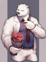 Rule 34 | 1boy, adjusting clothes, adjusting necktie, animal ears, bara, bear boy, bear ears, belt, black belt, bouquet, character request, commentary request, cropped legs, da luode, flower, formal, furry, furry male, highres, holding, holding bouquet, looking at viewer, male focus, mature male, muscular, muscular male, necktie, pants, pectorals, purple shirt, scar, scar across eye, scar on face, sdorica, shirt, short hair, solo, suit, thighs, white fur, white pants, white suit