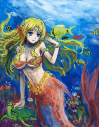 Rule 34 | 1girl, bad id, bad pixiv id, bandeau, bare shoulders, bikini, bikini top only, blonde hair, blue eyes, bracelet, breasts, bubble, circlet, cleavage, collarbone, fins, fish, head fins, highres, jewelry, large breasts, long hair, mermaid, monster girl, necklace, o-ring, o-ring top, original, pearl necklace, red bikini, sketch, solo, swimsuit, tafuto, turtle, underboob, underwater
