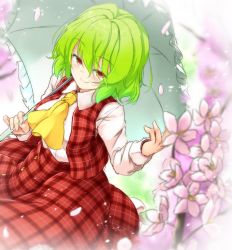 Rule 34 | 1girl, aka tawashi, ascot, blush, breasts, commentary request, cowboy shot, flower, green hair, hair between eyes, hand up, highres, holding, holding umbrella, kazami yuuka, large breasts, light particles, long sleeves, looking at viewer, petals, petticoat, pink flower, plaid, plaid skirt, plaid vest, red eyes, red skirt, red vest, shirt, short hair, skirt, skirt set, smile, solo, touhou, umbrella, vest, white shirt, yellow ascot