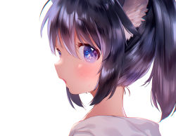 Rule 34 | 1girl, animal ear fluff, animal ears, black hair, blush, close-up, commentary request, highres, looking at viewer, medium hair, mutou mato, open mouth, original, ponytail, purple eyes, sidelocks, simple background, solo, sweat, upper body, white background