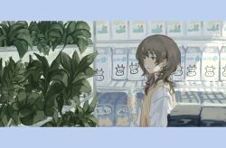 Rule 34 | 1girl, absurdres, border, bottle, brown hair, gyeonnggye, highres, holding, holding bottle, looking at object, milk, original, plant, shop, solo