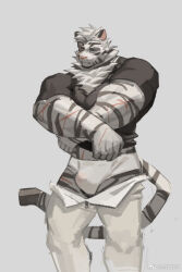 Rule 34 | 1boy, animal ears, arknights, bara, black shirt, bulge, chinese commentary, closed eyes, clothes lift, commentary request, cross scar, furry, furry male, grey background, male focus, male underwear, mountain (arknights), multiple scars, muscular, muscular male, pants, scar, scar across eye, scar on arm, scar on leg, scar on stomach, shirt, shirt lift, tail, tiger boy, tiger ears, tiger stripes, tiger tail, underwear, undressing, unzipped, weibo logo, weibo watermark, white male underwear, white pants, zhengshizi