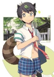 Rule 34 | 1boy, animal ears, armband, black hair, blue male underwear, borrowed character, boxers, bright pupils, collared shirt, leaf, leaf on head, looking down, male focus, male underwear, navel, necktie, original, outdoors, plaid male underwear, raccoon ears, raccoon tail, red necktie, shirt, short hair, short sleeves, solo, steelwire, tail, torax, twitter username, underwear, white pupils, white shirt, x-ray, x-ray vision