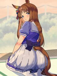 1girl absurdres animal_ears ass blue_eyes blush brown_hair clothing_cutout feet from_behind grass_wonder_(umamusume) highres horse_ears horse_girl horse_tail indoors kaname_aizuki long_hair looking_at_viewer looking_back miniskirt on_ground pleated_skirt school_uniform seiza sitting skirt solo summer_uniform tail tail_through_clothes tatami thighhighs tracen_school_uniform umamusume white_skirt white_thighhighs