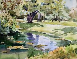 Rule 34 | 3boys, akemisuisai, day, forest, grass, highres, lily pad, multiple boys, nature, no humans, original, painting (medium), park, pond, reflection, reflective water, scenery, shadow, sunlight, traditional media, tree, tree shade, water, watercolor (medium)