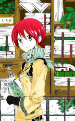 Rule 34 | 1girl, akagami no shirayukihime, book, female focus, jar, pharmacist, plant, red hair, shelf, shirayuki (akagami no shirayukihime), solo, window