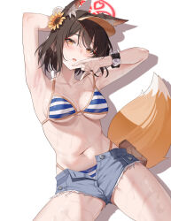 Rule 34 | 1girl, absurdres, animal ear fluff, animal ears, armpits, arms up, bare shoulders, bikini, blue archive, blue bikini, blue shorts, blush, breasts, brown eyes, brown hair, cleavage, collarbone, commentary, cutoffs, denim, denim shorts, flower, fox ears, fox tail, hair flower, hair ornament, highres, izuna (blue archive), kind1516, looking at viewer, medium breasts, midriff, navel, open fly, open mouth, presenting armpit, short hair, shorts, simple background, solo, stomach, striped bikini, striped clothes, swimsuit, tail, white background, yellow eyes