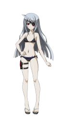 Rule 34 | 10s, 1girl, bikini, black bikini, breasts, brown eyes, collarbone, eyebrows, eyepatch, frilled bikini, frills, full body, groin, hand on own hip, highres, holster, infinite stratos, laura bodewig, long hair, looking at viewer, navel, side-tie bikini bottom, silver hair, small breasts, solo, swimsuit, thigh holster, transparent background