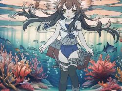 Rule 34 | 1girl, breasts, brown hair, diving, fish, i-47 (kancolle), kantai collection, medium breasts, one-piece swimsuit, school swimsuit, solo, swimsuit