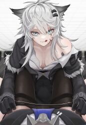 Rule 34 | 2girls, :p, absurdres, animal ears, arknights, black coat, black gloves, black vest, blue necktie, breasts, coat, female pov, gloves, grey eyes, hair ornament, hairclip, highres, lappland (arknights), lappland (refined horrormare) (arknights), long sleeves, looking at viewer, mildt, multiple girls, necktie, official alternate costume, open clothes, open coat, pantyhose, pov, pov breasts, scar, scar across eye, scar on face, small breasts, texas (arknights), texas the omertosa (arknights), tongue, tongue out, unworn pantyhose, vest, wolf ears, wolf girl