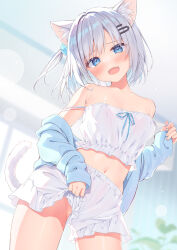 Rule 34 | 1girl, animal ear fluff, animal ears, bare shoulders, bloomers, blue cardigan, blue eyes, breasts, camisole, cardigan, cat ears, cat girl, cat tail, clothes down, fang, grey hair, long sleeves, looking at viewer, medium breasts, navel, no panties, open cardigan, open clothes, open mouth, original, ryouka (suzuya), short hair, sleeves past wrists, stomach, strap pull, strap slip, tail, underwear, white bloomers, white camisole, white hair