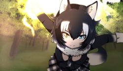 Rule 34 | 10s, 1girl, animal ears, between breasts, black hair, blue eyes, breasts, forest, fur collar, gloves, grey wolf (kemono friends), heterochromia, highres, kemono friends, large breasts, long hair, long sleeves, looking at viewer, meta-tron, multicolored hair, nature, necktie, necktie between breasts, skirt, solo, tail, two-tone hair, wolf ears, wolf tail, yellow eyes