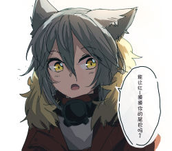 Rule 34 | 1girl, animal ears, arknights, chinese text, commentary, fur-trimmed hood, fur trim, grey hair, hood, jacket, long hair, looking at viewer, mask, mask around neck, portrait, projekt red (arknights), red jacket, shirt, simple background, sketch, solo, speech bubble, white background, white shirt, wolf ears, yellow eyes, yufeng kaete