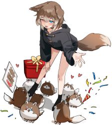 Rule 34 | 1girl, absurdres, animal, animal ears, black jacket, black shorts, black socks, blue eyes, blush, box, brown hair, collar, confetti, dog ears, dog girl, dog tail, gift, gift box, hasuki rui, heart, heterochromia, highres, indie virtual youtuber, jacket, long sleeves, open mouth, party popper, red eyes, shadow, short hair, shorts, sign, simple background, smile, socks, solo, standing, tail, tearing up, u no nijiart, virtual youtuber, white background