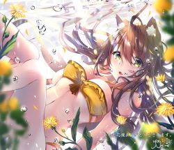 Rule 34 | 1girl, :3, :d, ahoge, air bubble, animal ear fluff, animal ears, bare arms, bare shoulders, bikini, blush, breasts, brown eyes, brown hair, bubble, cat ears, cleavage, commentary request, dappled sunlight, fang, hair between eyes, long hair, looking at viewer, medium breasts, open mouth, original, signature, smile, solo, sunlight, swimsuit, translated, underwater, usagihime, yellow bikini