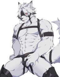 Rule 34 | 1boy, abs, absurdres, animal ears, bara, black male underwear, chest strap, claws, eyepatch, furry, furry male, hashtag-only commentary, highres, kuro kurohei, male focus, male underwear, one eye covered, pectorals, red eyes, tail, topless male, underwear, von lycaon, white background, wolf boy, wolf ears, wolf tail, zenless zone zero